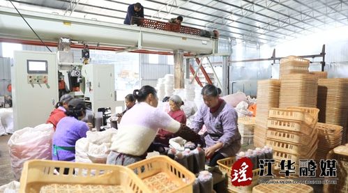 江华 人勤春来早 菌包生产忙