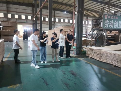 广西扶绥发出首张人造板产品生产许可证