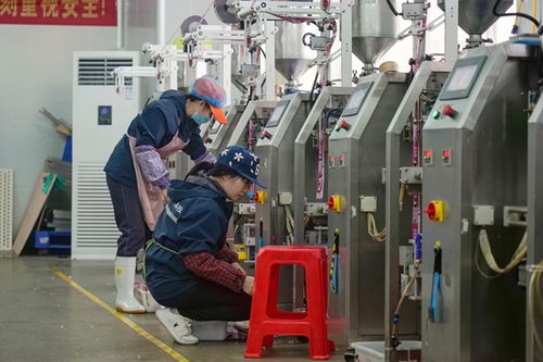 港北区打造高品质宠物饲料,擦亮农业产业品牌