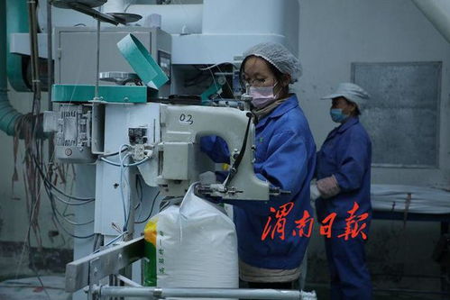 高效协同 质量为先——论压铸制品行业如何保障生产供应与市场稳定